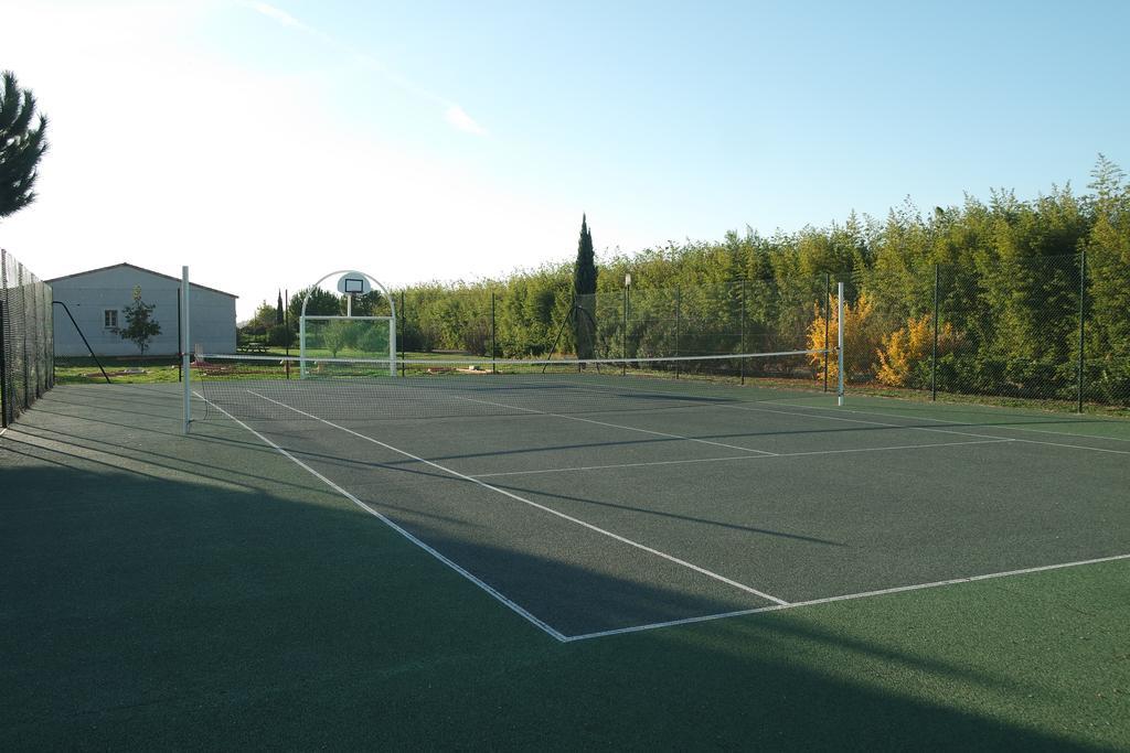 Residence Jasses De Camargue 加拉尔盖莱蒙蒂厄 外观 照片