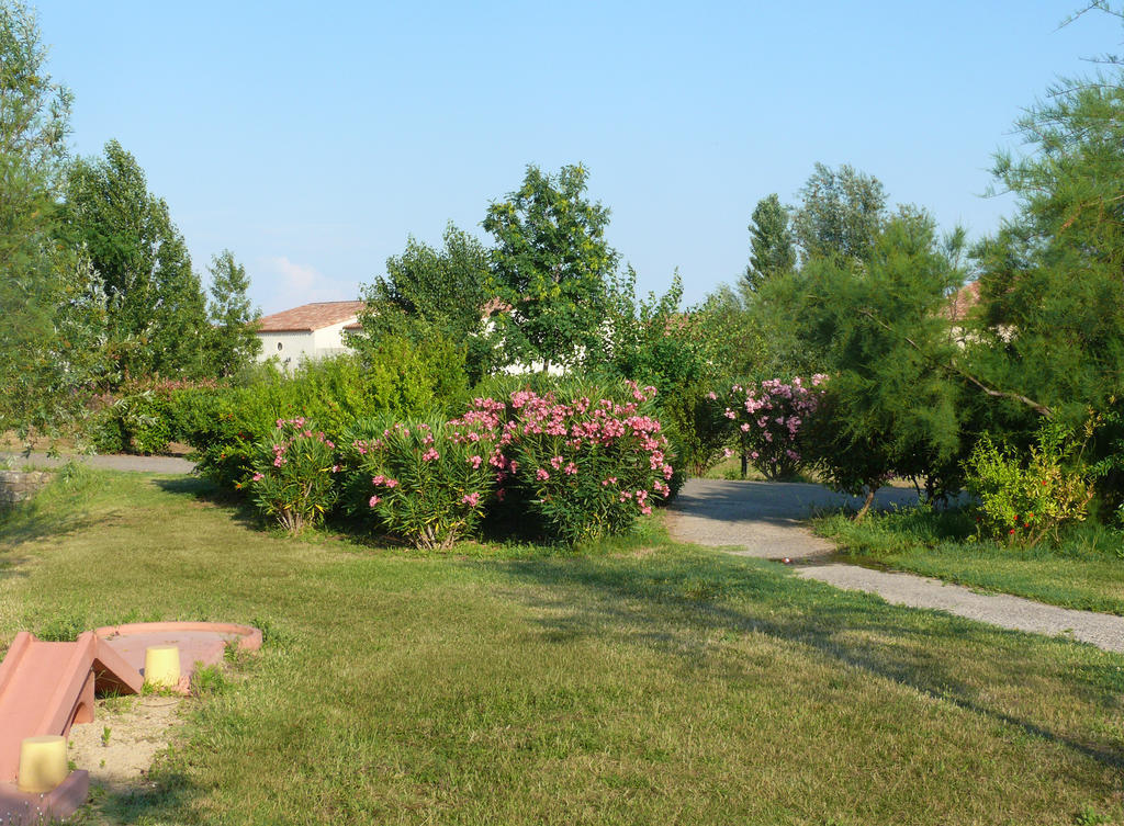 Residence Jasses De Camargue 加拉尔盖莱蒙蒂厄 外观 照片